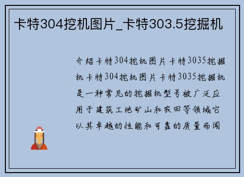 卡特304挖机图片_卡特303.5挖掘机