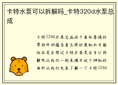 卡特水泵可以拆解吗_卡特320d水泵总成